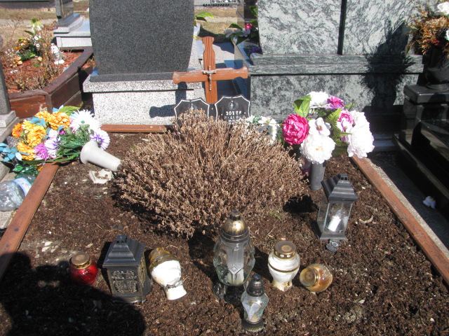 Grób Józef Wieloch